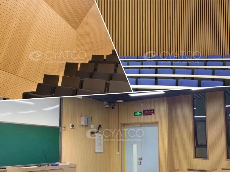Why Wooden Acoustic Panels Are the Top Choice for University Classroom Renovations
