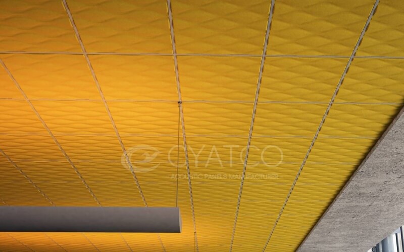 School Restaurant Acoustic PET Felt Panels -Functional Wall Cover Panelling (2)