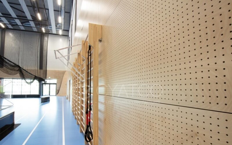 Sports Halls & Arenas Acoustic Wall Panels (1)