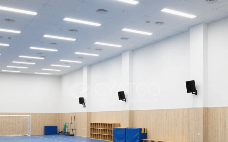 Superior Acoustic PET Felt Panels in School Buildings