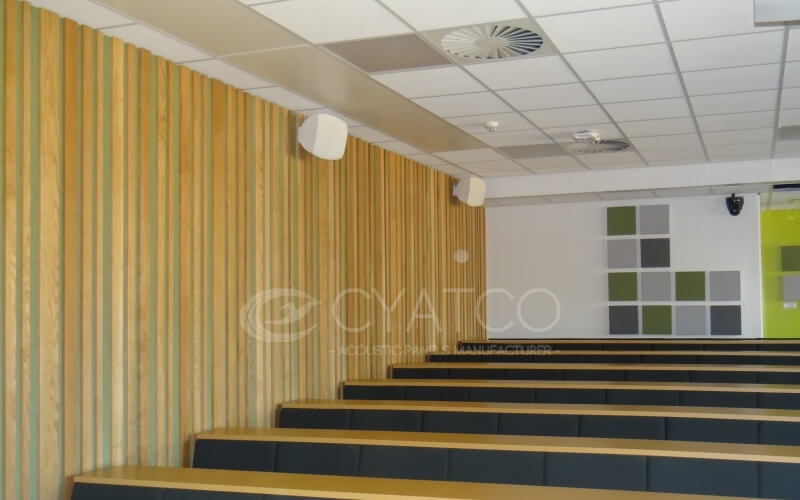 Acoustic Noise Reduction Solutions for University Classrooms