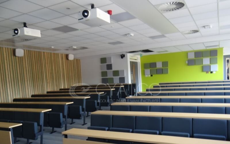 Acoustic Noise Reduction Solutions for University Classrooms