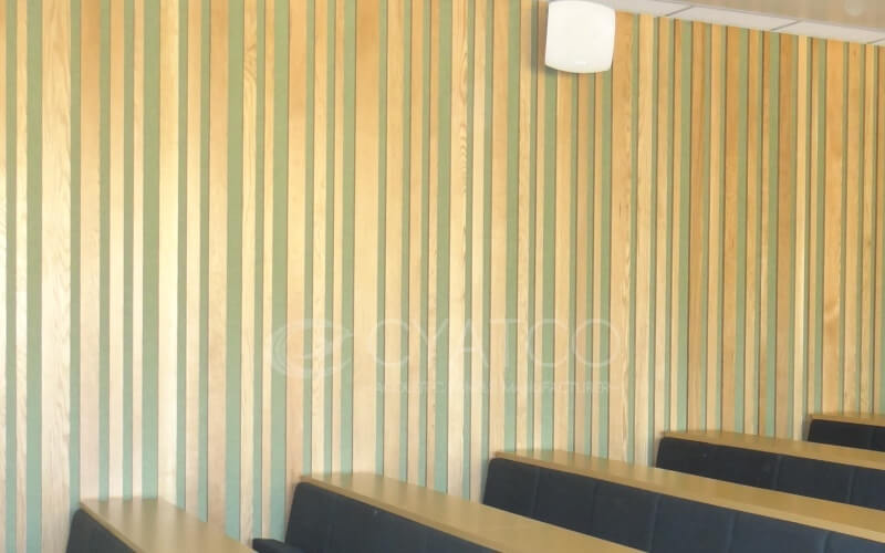 Acoustic Noise Reduction Solutions for University Classrooms