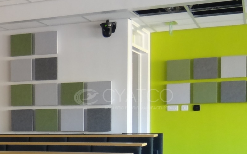 Acoustic Noise Reduction Solutions for University Classrooms
