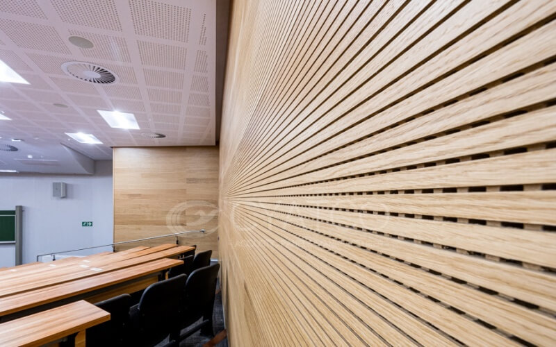 Conference & Meeting Room Acoustic Walls (1)