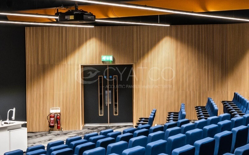 Modern Conference Center Wooden Grooved Wall