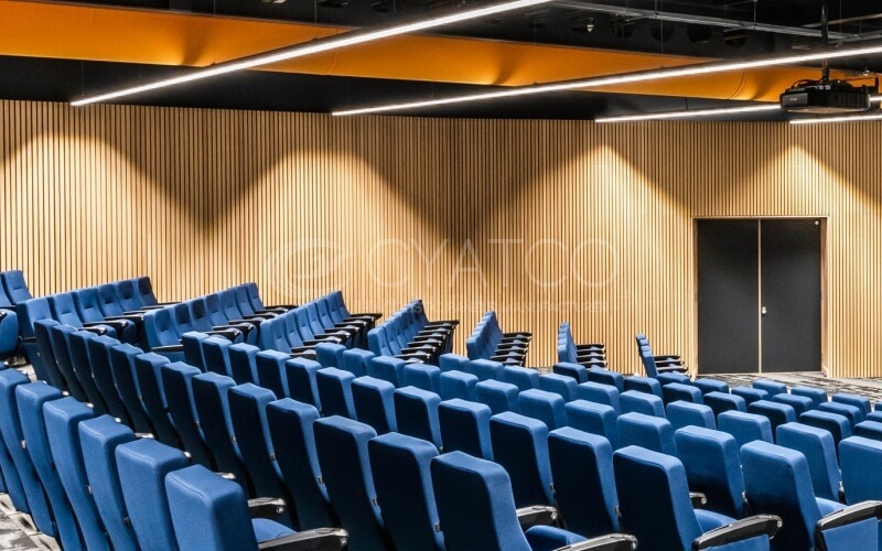 Modern Conference Center Wooden Grooved Wall