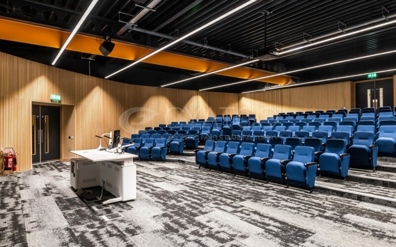 Modern Conference Center Wooden Grooved Wall