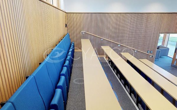Akupanel-Yellow-Oak-Black-Felt-Acoustic-Wall-Panel-University-Classroom