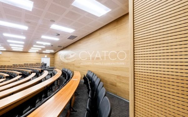 sound-absorbing panels improve the sound quality of an auditorium (3)